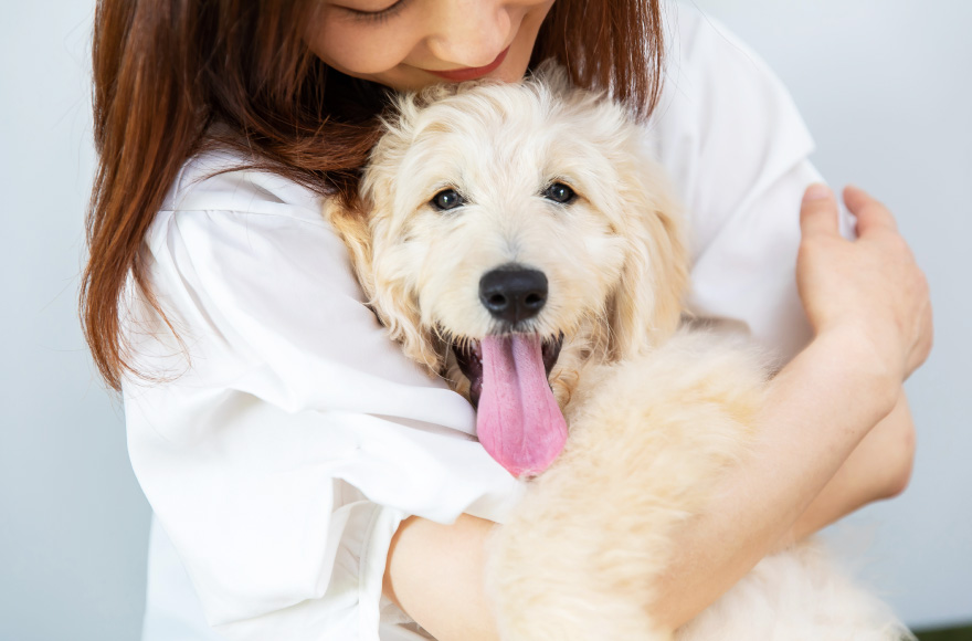 犬と戯れる写真